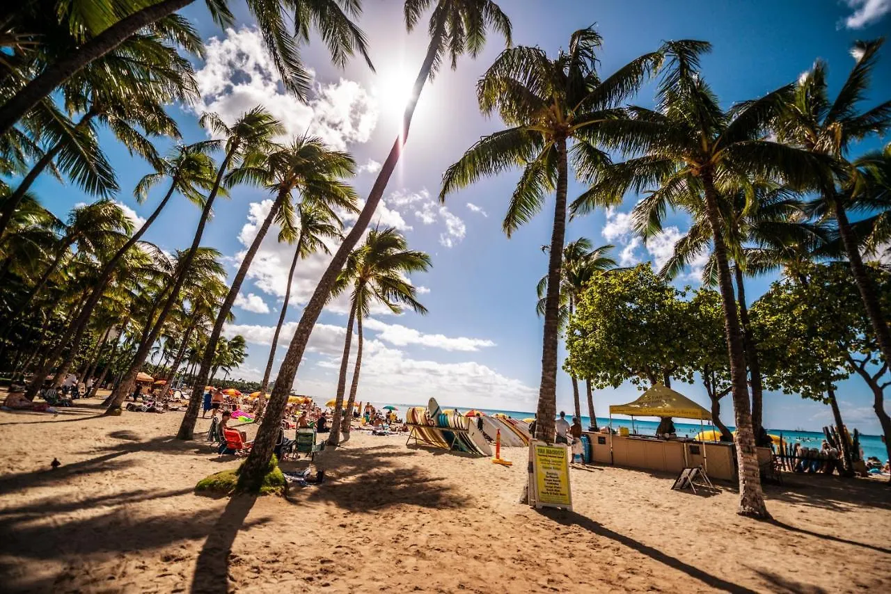 Fully Renovated 1Br With King Bed, Great Mountain Views, And Free Parking! Daire Honolulu